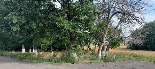 photo 07 07 2025 01