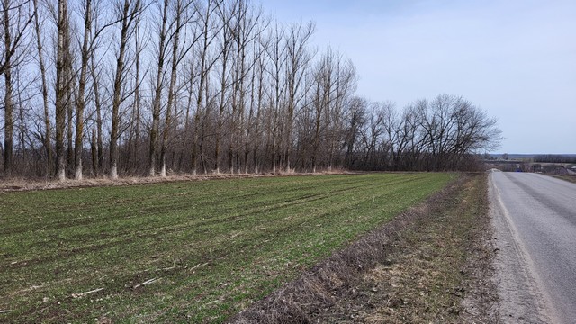 subbotnik 0404 2022 5