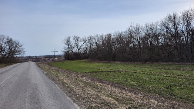 subbotnik 0404 2022 6