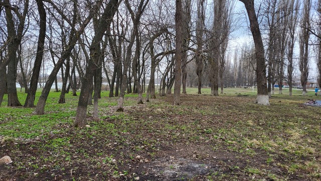 sub 0604 2022 4