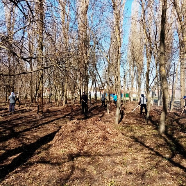 mesychnik chistoti 20220418 10