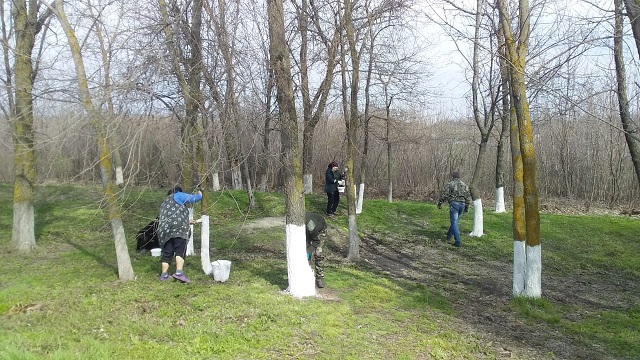 img 06042023 3