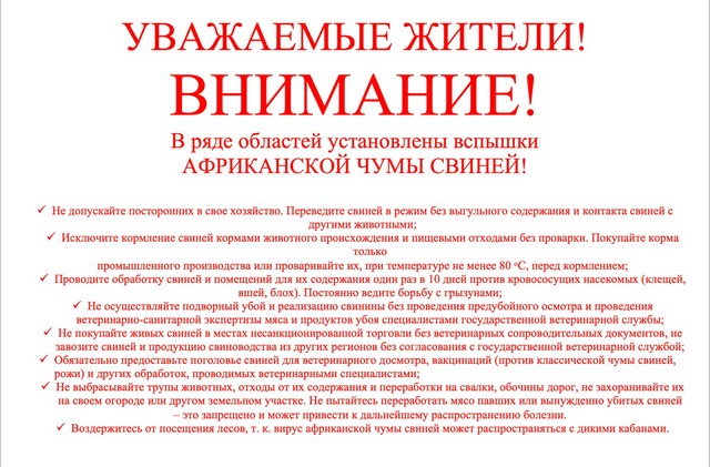 foto 2023 06 16 13 46 001