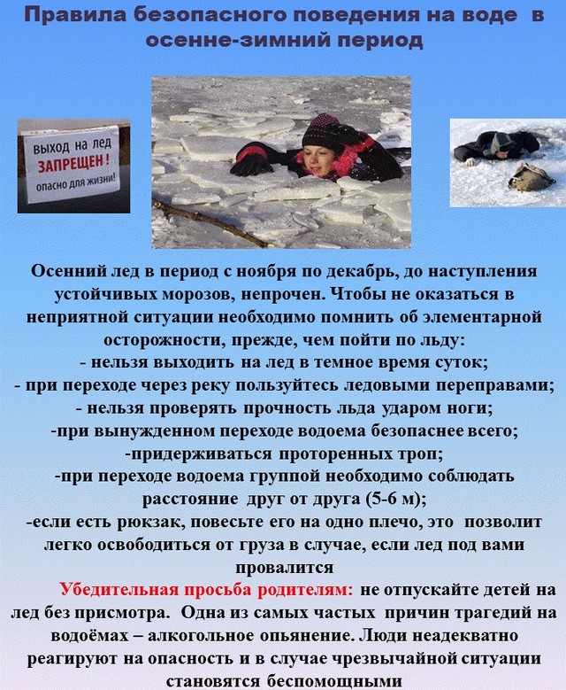 foto 2024 01 19 16 29 001