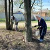 Большим субботником в Первомайском сельском поселении закончился областной «месячник чистоты»
