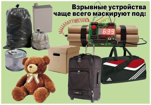foto 09 08 29 10 2024 2