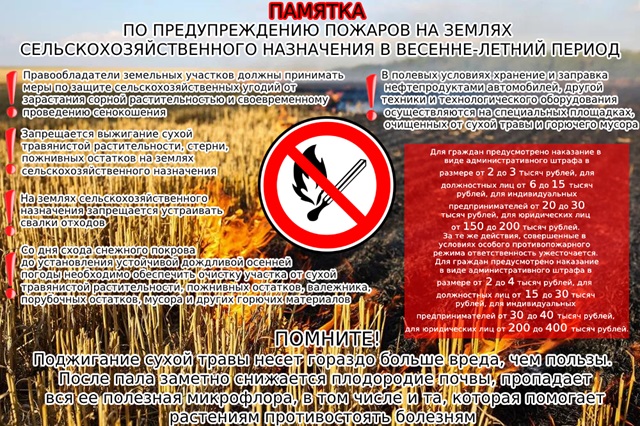 foto 2024 07 22 17 11 5