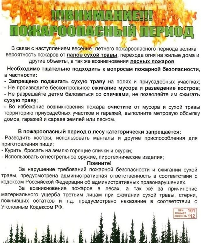 foto 2024 08 29 14 40 3