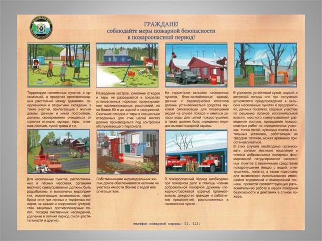 foto 2024 08 29 14 40 4