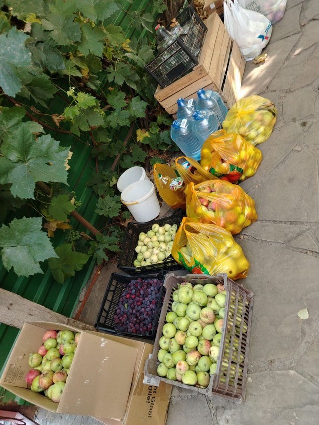 photo 01 08 2025 03