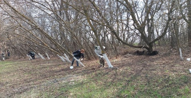 photo 03 04 2025 04