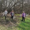 Весна – традиционное время наведения чистоты и порядка