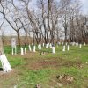 Весна – традиционное время наведения чистоты и порядка