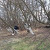 Весна – традиционное время наведения чистоты и порядка