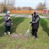 Весна – традиционное время наведения чистоты и порядка