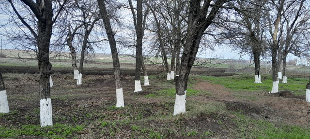 foto 2025 04 15 10 56 4