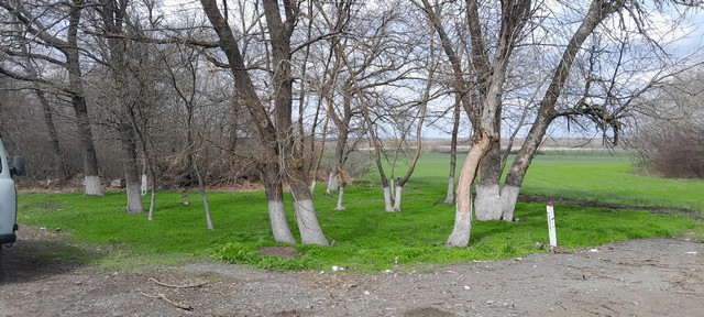 foto 2025 04 15 10 56 5
