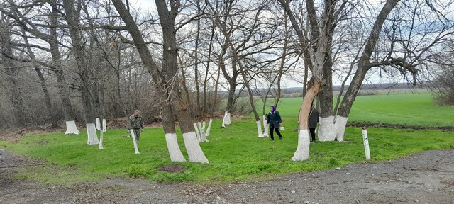 foto 2025 04 15 10 56 6
