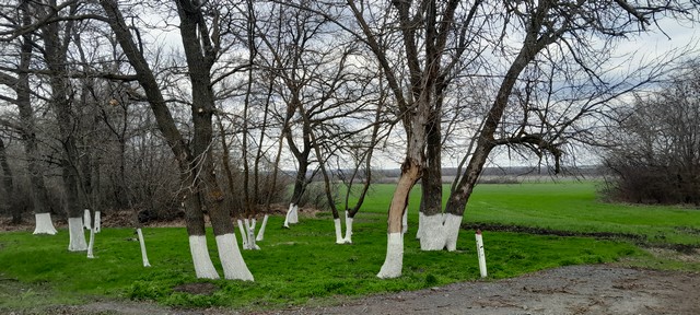 foto 2025 04 15 10 56 7
