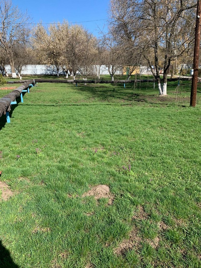 photo 14 04 2025 04