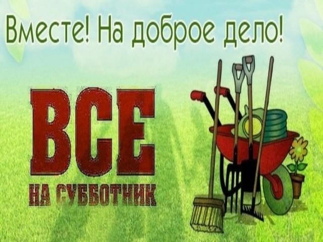 photo 25 04 2025 01
