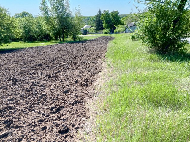 photo 30 04 2025 01