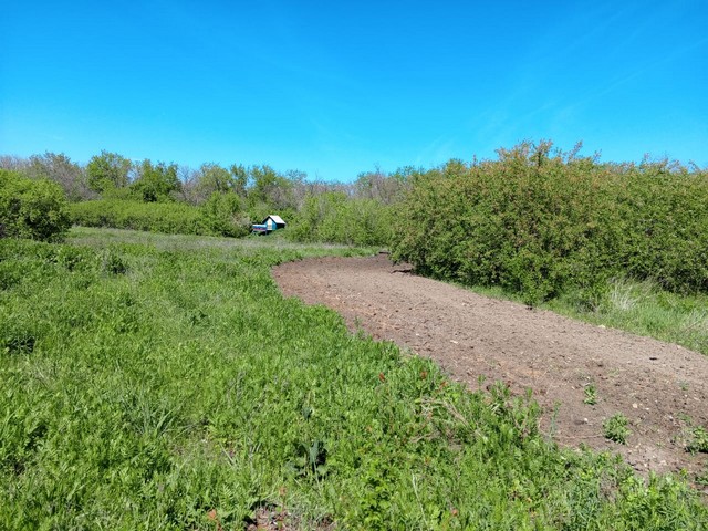 photo 30 04 2025 03