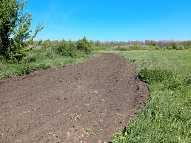 photo 30 04 2025 04