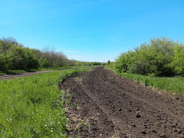 photo 30 04 2025 05