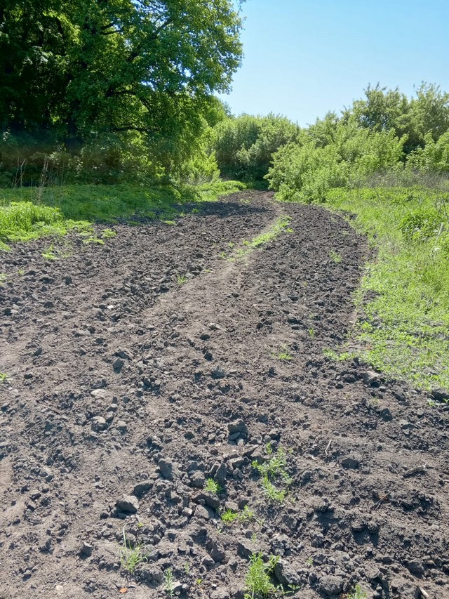 photo 30 04 2025 06