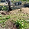 29 и 30 апреля навели  порядок   на  территории  братского  захоронения  в  х.Октябрьский