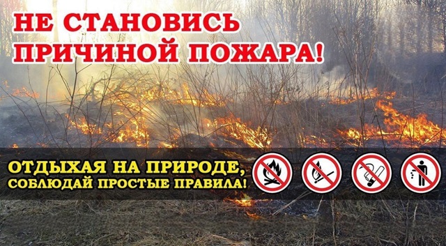 foto 2025 03 27 15 57 3
